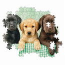 Clementoni Puzzel High Quality 1000 stukjes Labradors