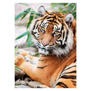 Clementoni High Quality Collection Puzzel Sumatraanse Tijger 1000 Stukjes