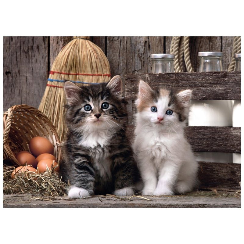 Clementoni Puzzel High Quality 1000 stukjes Lovely Kittens
