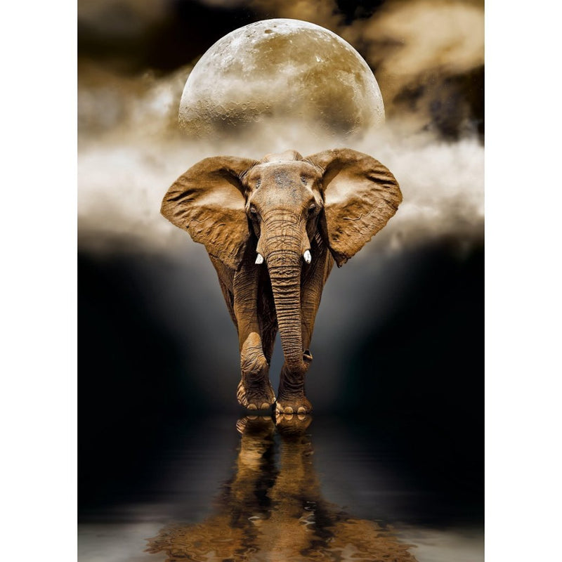 Clementoni High Quality Collection Puzzel Olifant 1000 Stukjes