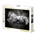Clementoni Puzzel High Quality 1000 stukjes Katje