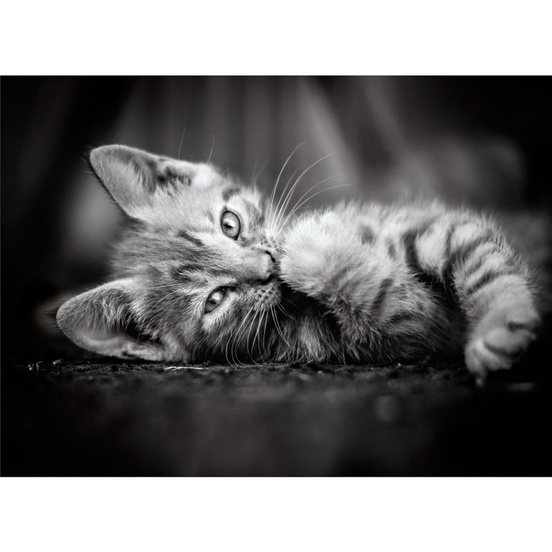 Clementoni Puzzel High Quality 1000 stukjes Katje
