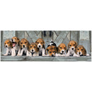 Clementoni Panorama Puzzel Beagles, 1000st.