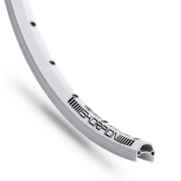 Voorwiel Rodi 28 inch / 622x19  Skorpion - 36 gaats + QR - zilver