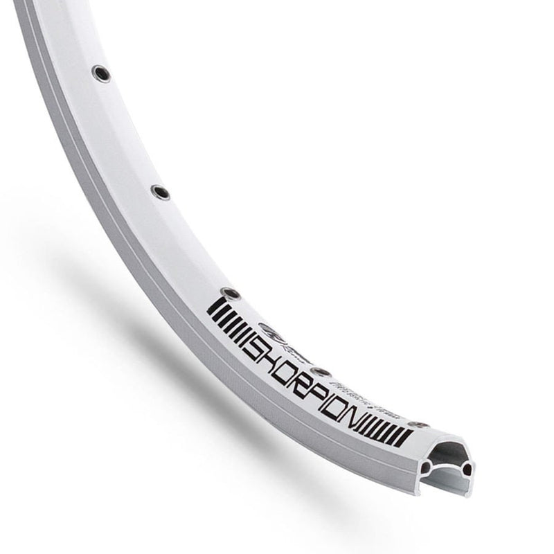 Voorwiel Rodi 28 inch / 622x19  Skorpion - 36 gaats + QR - zilver
