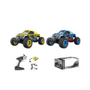 RC High Speed Auto 1:16 Assorti Geel Blauw