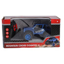 RC Buggy Assorti