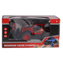 RC Buggy Assorti