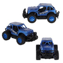 RC Buggy Assorti