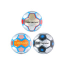 Dunlop Metallic Voetbal Maat 5 6 Stuks Assorti
