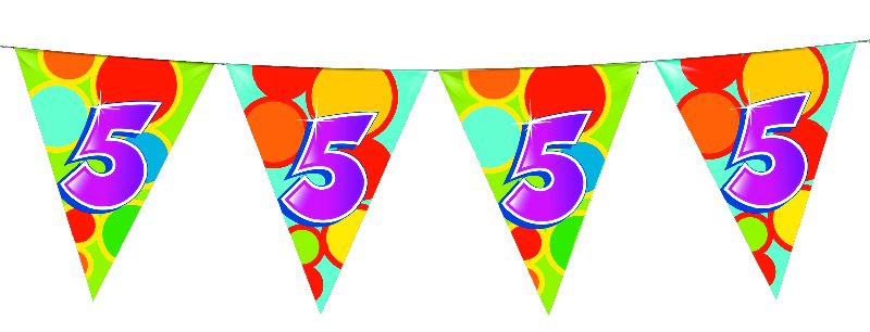 Vlaggenlijn 5 Jaar, 10mtr.