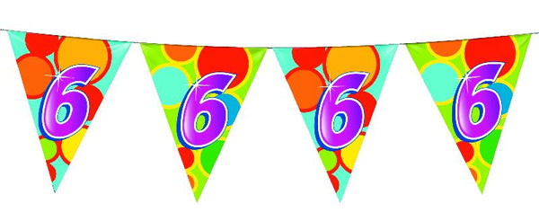 Vlaggenlijn 6 Jaar, 10mtr.