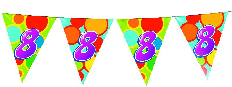 Vlaggenlijn 10 meter 8 jaar