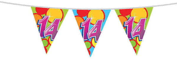 Vlaggenlijn 10 meter 14 jaar