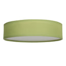 Ranex RA-1000472 Mia LED Plafond Lamp 40cm Groen
