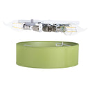 Ranex RA-1000472 Mia LED Plafond Lamp 40cm Groen