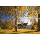Goliath Puzzel Andy Williams Farncombe 1000 Stukjes