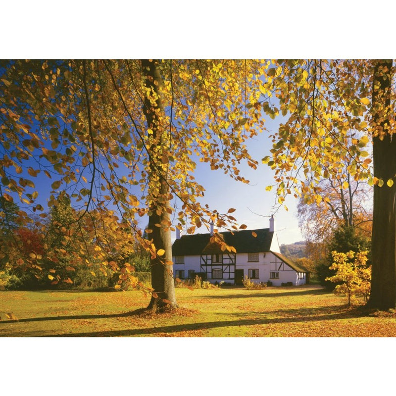 Goliath Puzzel Andy Williams Farncombe 1000 Stukjes