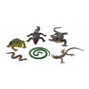 Reptielen Giftbox, 6st.