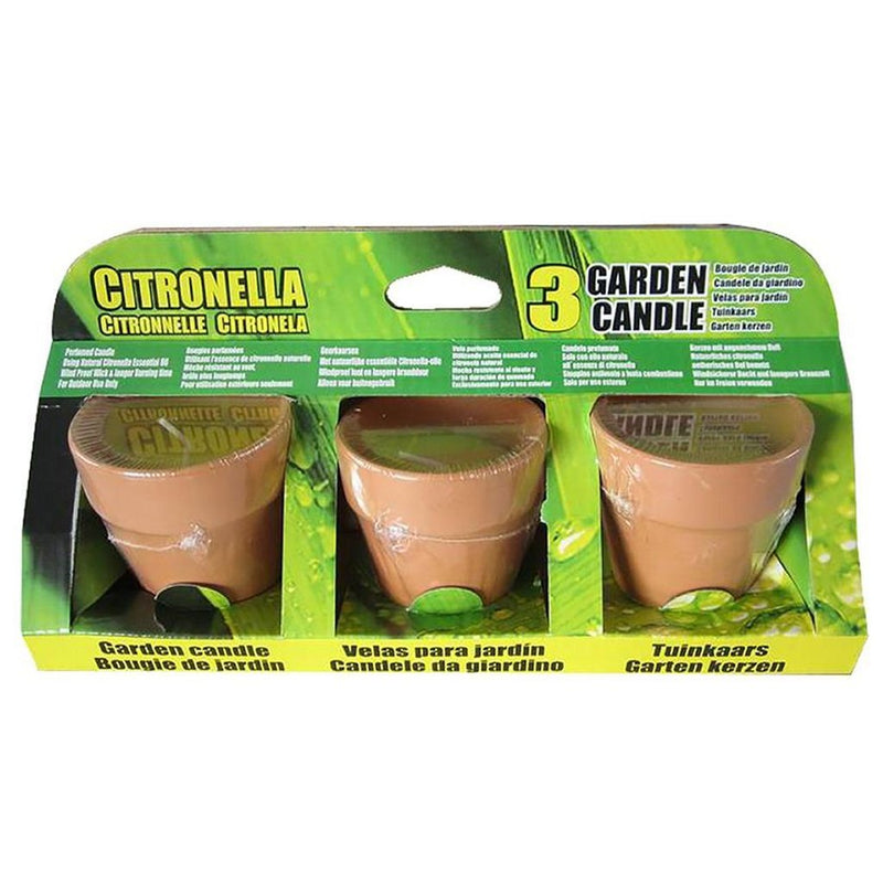 Citronellakaarsen in Terracotta Potje 6.5 cm 3 Stuks