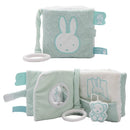 Nijntje Safari Mint Buggy Boekje