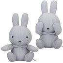 Nijntje Fun at sea Kiekeboe nijntje