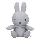 Nijntje Fun at sea Kiekeboe nijntje