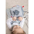 Nijntje Kubus Fun At Sea