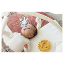 Nijntje Speelkleed met Boog Fluffy Pink