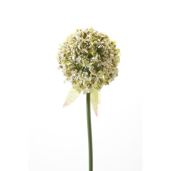 Kunstbloem Alliumtak 70 cm Wit