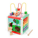 Fisher Price Activiteiten Kubus Hout