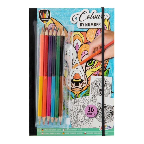 Kleuren op Nummer Kleurboek met Kleurpotloden.