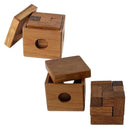 IQ Puzzel Hout Kubus Kist