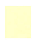 Papier A4 160gr 25 vel ivoor