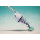Interline Pool and Spa Draadloze Onderwaterstofzuiger met Accessoires