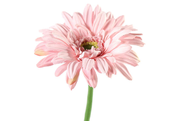 Countryfield Kunstbloem Gerbera Leanne roze 64cm