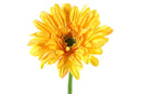 Countryfield Kunstbloem Gerbera Leanne geel 64cm