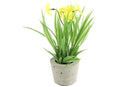 Countryfield Kunstbloem in potje Narcissus geel 21cm