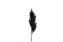 Countryfield Kunstbloem Astilbe zwart 104cm