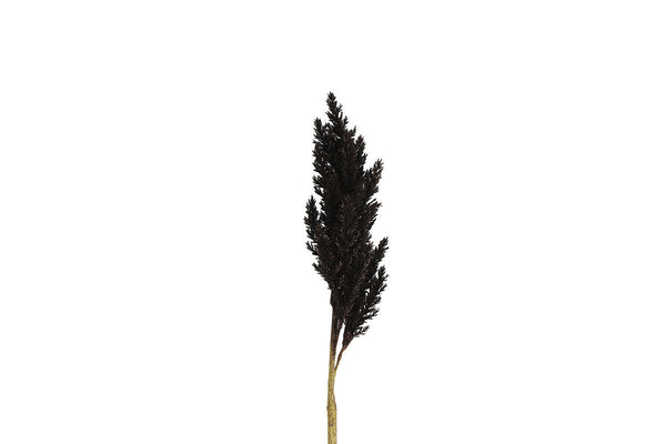 Countryfield Kunstbloem Astilbe zwart 104cm