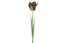 Countryfield Kunstbloem Tulipa (parkiet) paars 69cm