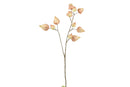 Countryfield Kunstbloem Physalis l.roze 95cm
