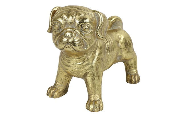 Countryfield Dog Pugsy goud