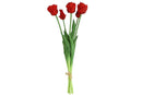 Countryfield Kunstbloem Tulipa (parkiet) boeket d.rood 40cm