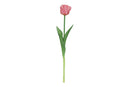 Countryfield Kunstbloem Tulipa (parkiet) roze 40cm