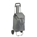 Princess Traveler Waterdichte Boodschappen Trolley Grijs