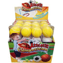 Foam Sportballen in Koker 4 Stuks