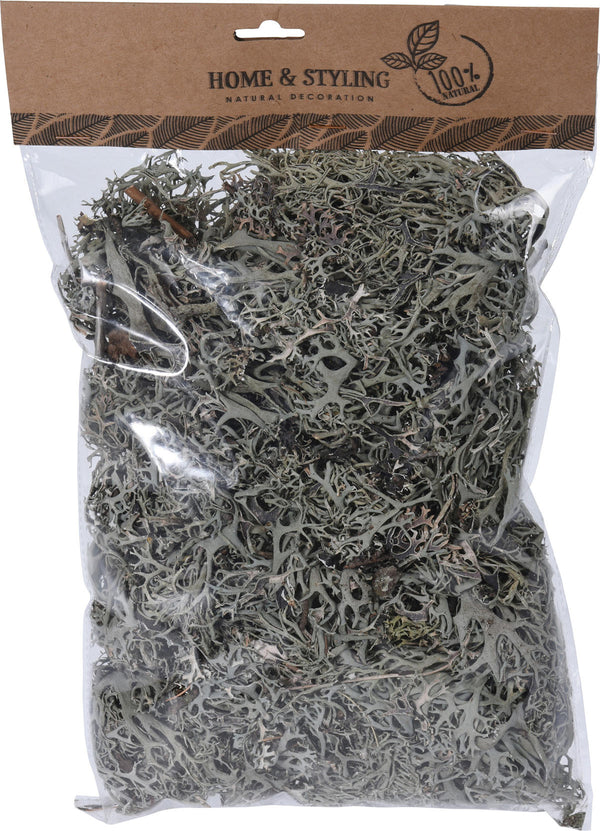 Mos 100 gram - Grijs