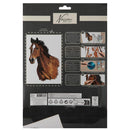 Nassau Schilderen op Nummer Paard