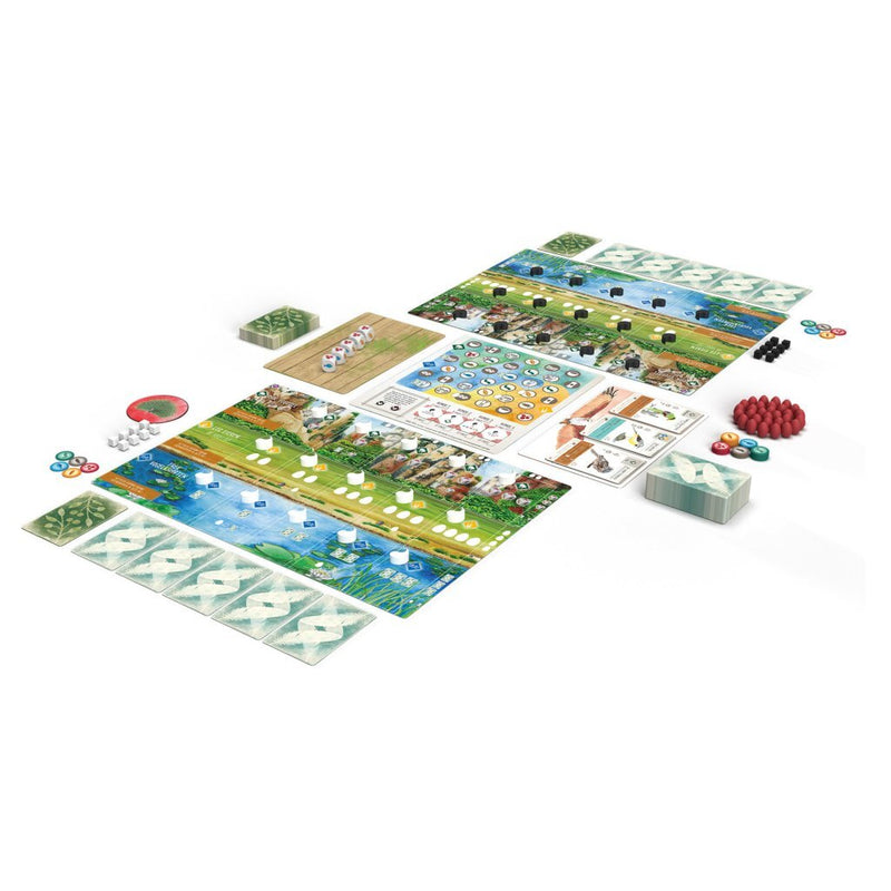 999 Games Wingspan uitbreiding: Azie Bordspel